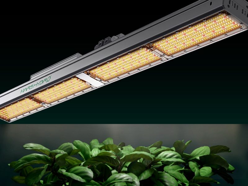 Achieving Year-Round Harvests with Hydroponics and LED Grow Lights in a ...