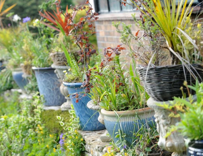 The Eco-Friendly Benefits Of Choosing Plant Containers For Your Garden