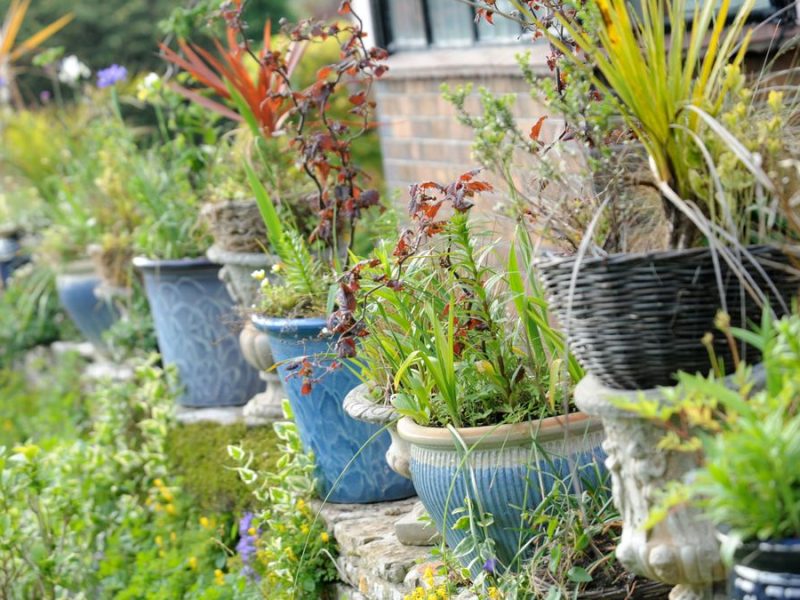 The Eco-Friendly Benefits Of Choosing Plant Containers For Your Garden