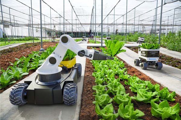 Smart Agriculture IoT